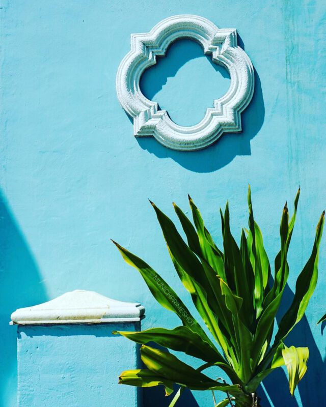 B L U E .
.
.
#royalsnappingartists #travelblogger #travelgram #ig_worldclub #igworldclub #photooftheday #visitflorida #minimalism #sonyalpha #miami #stilllife  #stillleben #momentaufnahme #moodygrams #design #roadtrip #wall #munichprimeshot #florida  #sunshinecoast #sonyimages #yourshotphotographer #travel #sonyalpha6000 #minimalismus #streetphotography #streetstyle @munichprimeshot